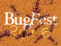 Bugfest_2016.jpg