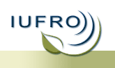 IUFRO logo