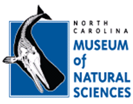 NC Museum of Natural Sciences