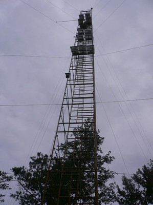 eddyflux-artower-14.jpg