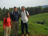 Cohen, McNulty, and Sun stand in front of a tea plantation in western Rwanda
