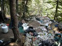 Garbage covers the forest floor at an illegal marijuana grow site