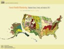 New National Monitoring Report Highlights Recent Forest Health Issues