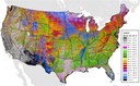 Researchers Map Seasonal Greening in U.S. Forests, Fields, and Urban Areas