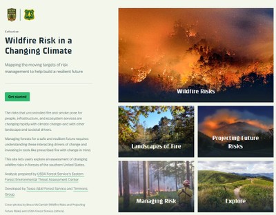 Wildfire Risk in a Changing Climate