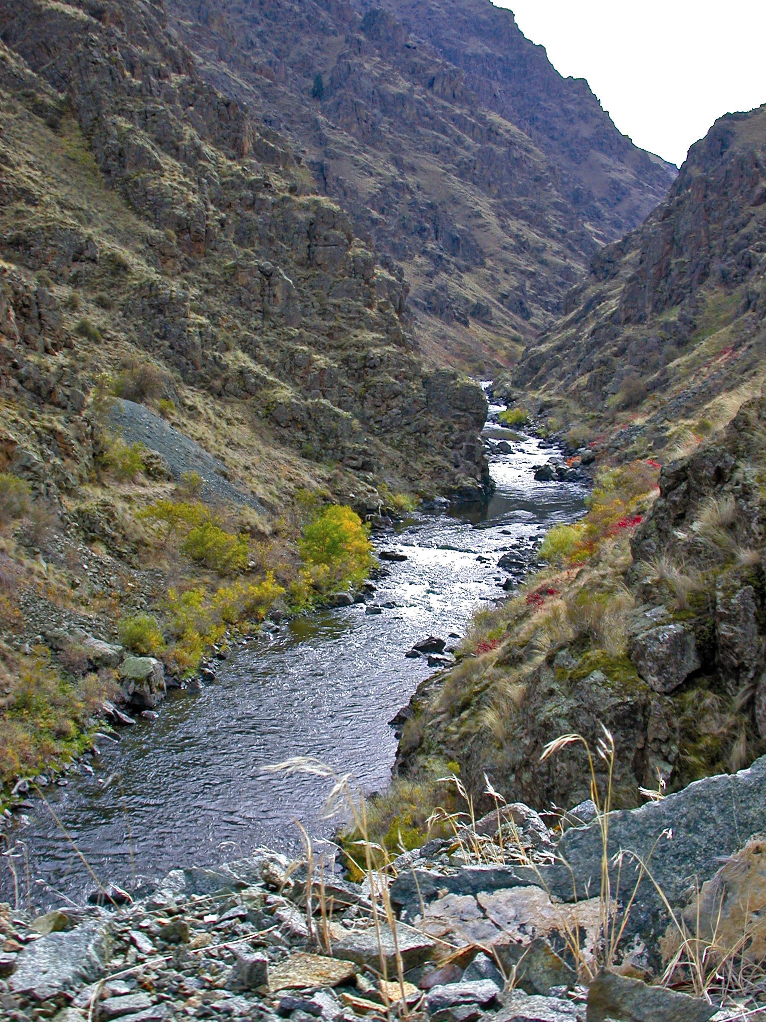 Creek off Hells Canyon