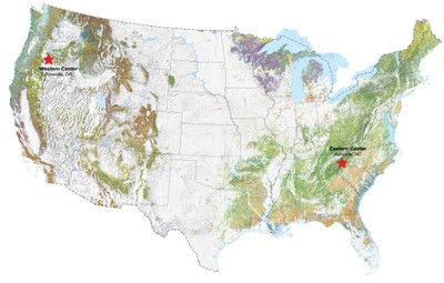 Forest Cover Map