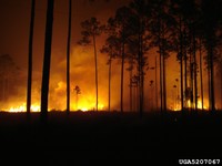 2007 Georgia wildfires - Photo by National Interagency Fire Center Archive, Bugwood.org