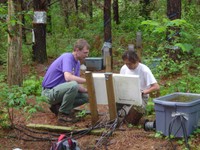 NCSU faculty Asko Noormets and Jean-Christophe Domec install sapflow sensors at the research site. - Photo by Michael Gavazzi