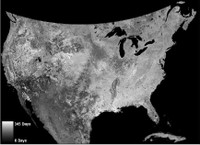 Creed collaborates with EFETAC ecologist Bill Hargrove to map forest changes across the United States using MODIS satellite imagery.