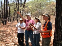 FHM team leader Bill Bechtold (2nd from left) was among the U.S. and Mexican forest health specialists rating tree crowns in the forests near Guadalajara, Mexico. Photo by Boris Tkacz.