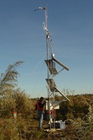 EFETAC North Carolina State University cooperating researcher Asko Noormets downloads data from a tower on the recently planted loblolly pine plantation.