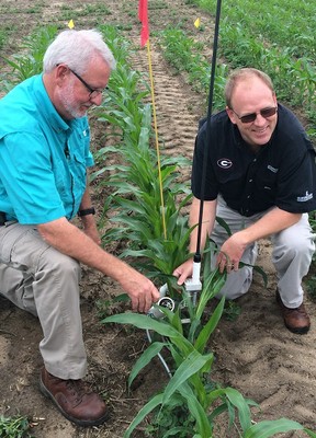 University of Georgia partners using a soil moisture instrument in a corn field