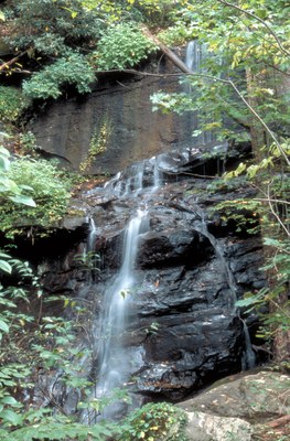 Chattahoochee-Oconee National Forest
