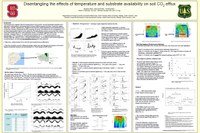 Disentangling the effects of temperature and substrate availability on soil CO 2  efflux