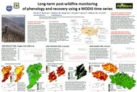 Long-Term Post-Wildfire Monitoring of Phenology and Recovery Using a MODIS Time Series