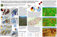 Mapping fire severity scenarios across Southern Appalachian forests: a risk-based approach for planning, restoration and monitoring