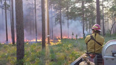 fire planning in the southern region