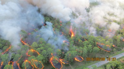NF experts weigh in on fire mapping