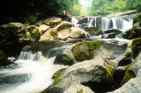 Rapids - Photo by USDA Forest Service