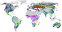 A map of global fire regimes