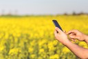 A man holds a smartphone in a field