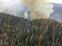 An aerial photo from California’s 2016 Cedar Fire