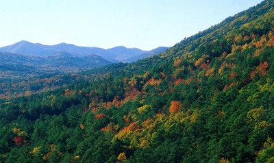 Tree-covered mountains in autumn
