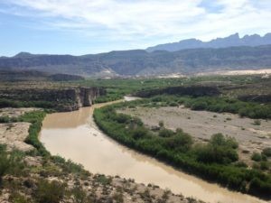 Rio Grande riparian floodplain