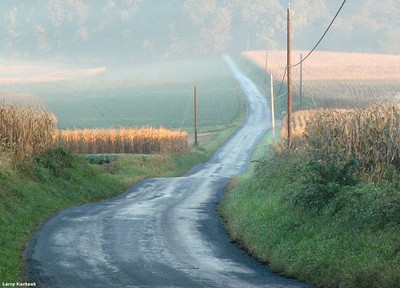 A road surrounded by farm land