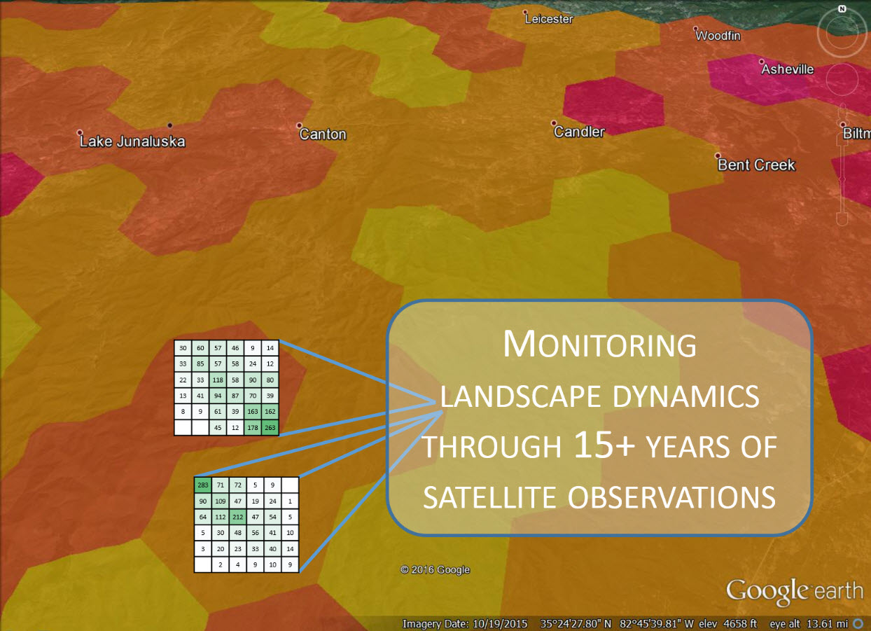 Monitoring_landscape_dynamics.jpg