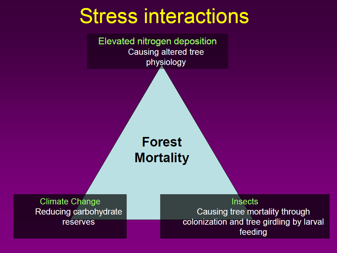 Stress interactions