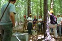 Forest Research Tour